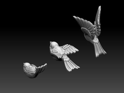 birds