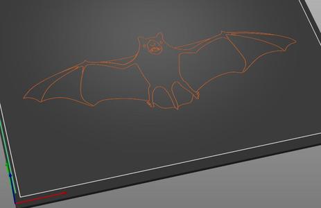 Tactile image: bat