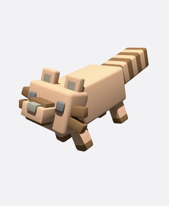 Raccoon (Blender Version)