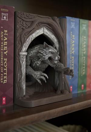 Werewolf Book Nook- Professor Lupin Inspired
