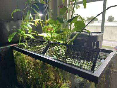 TopFin Aquarium fence