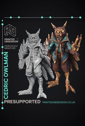 Owlman - Frindly NPC - Cryptids of the Darkwoods - PRESUPPORTED - Illustrated and Stats - 32mm scale