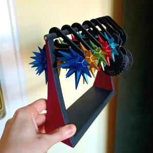 Earring organizer