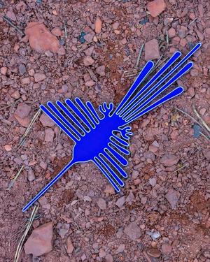 Palpa Hummingbird
