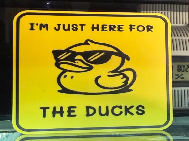 I'M JUST HERE FOR THE DUCKS 