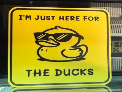 I'M JUST HERE FOR THE DUCKS 