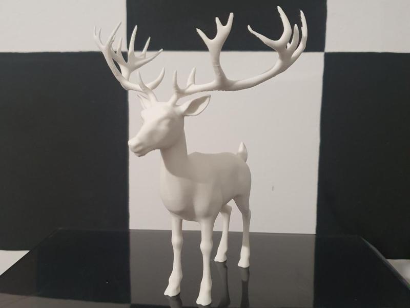 Deer with big antlers