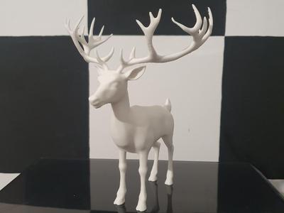 Deer with big antlers