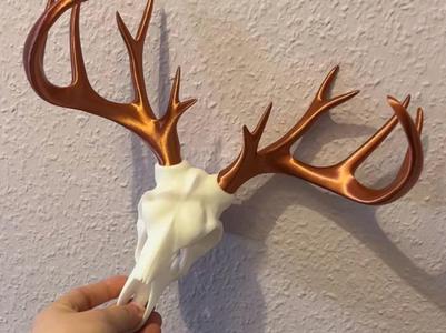 Stag Head 