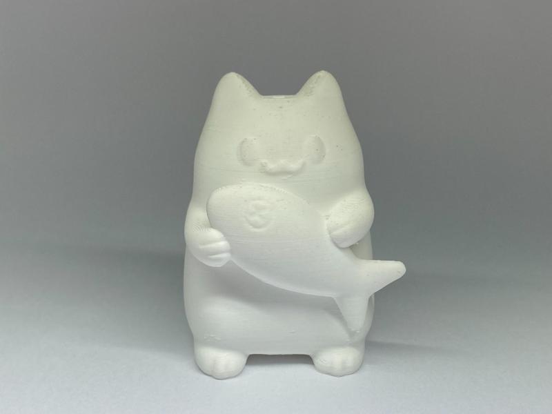 CAT with Fish