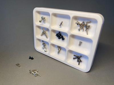 Magnetic screw tray