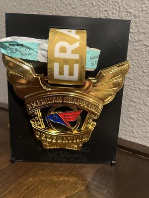 (BJJ) Medal Display Board