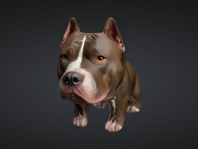 Cute Pitbull figure or keychain