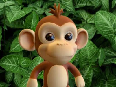 Cute Monkey