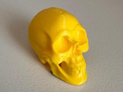 Skull