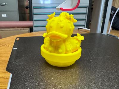 Cactus Pot Duck