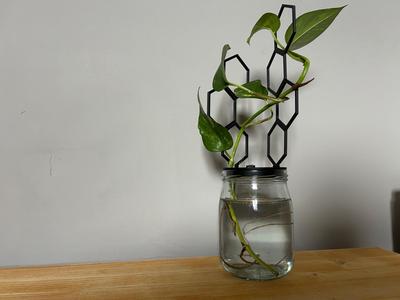 Esagonal Plant Support 