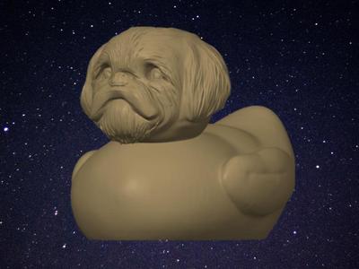 Shih Tzu Duck