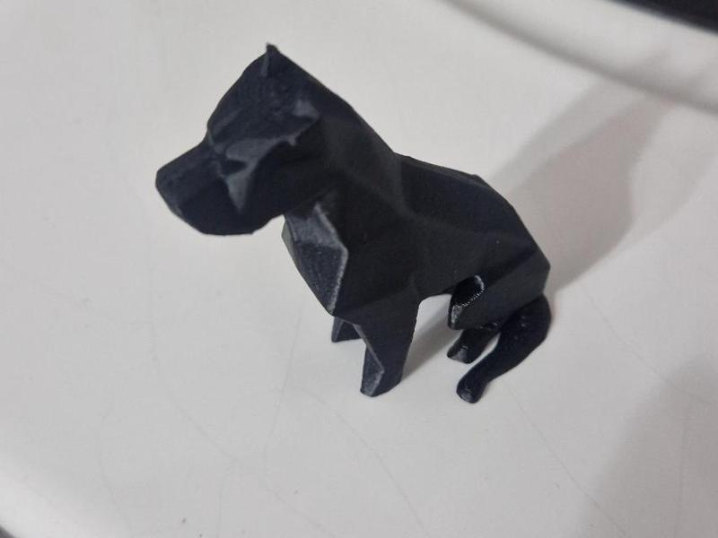cane pitbull design