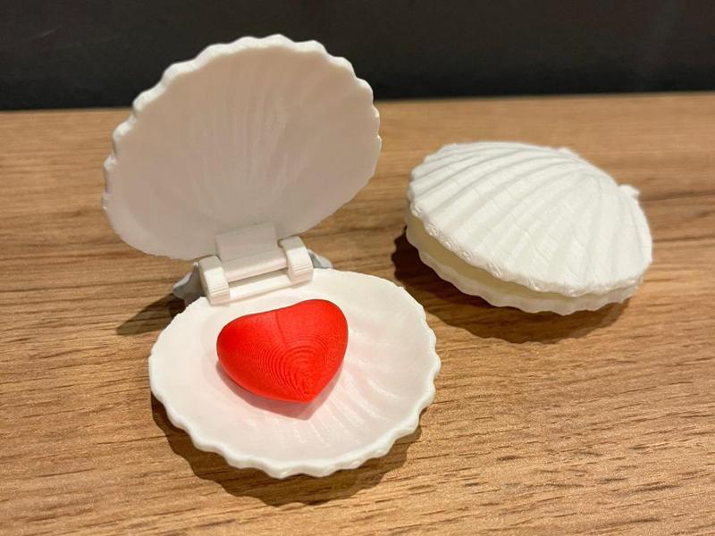Perfect Gift Sea Shell Box