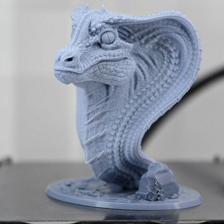Snake Dragon bust