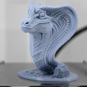 Snake Dragon bust