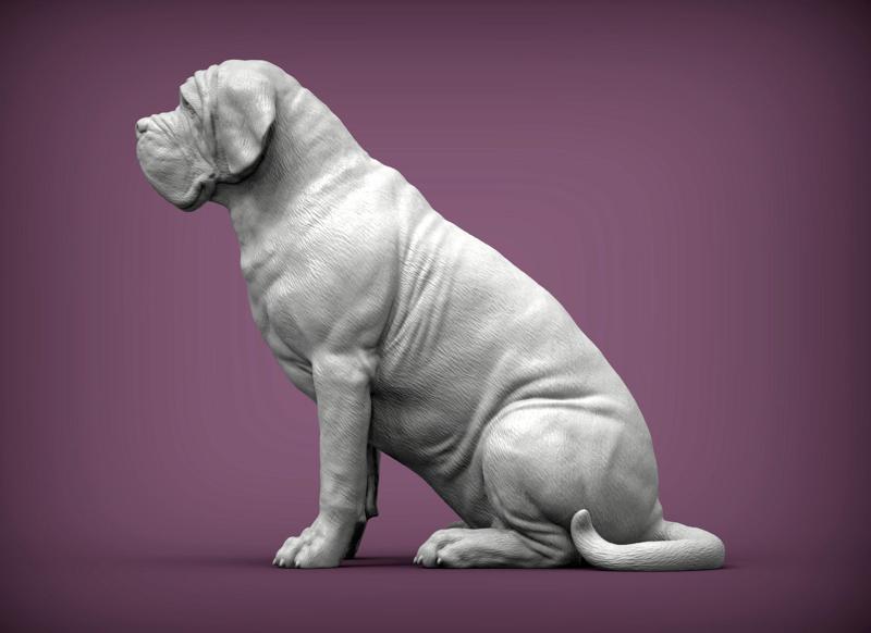 Mastiff dog