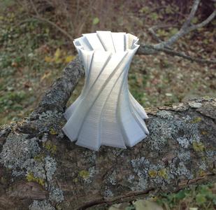 Freeform Vase