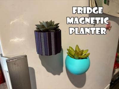Fridge magnetic planter for succelent plants - Non Commercial