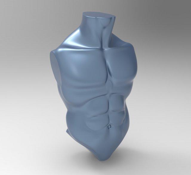 Male Torso Basemesh