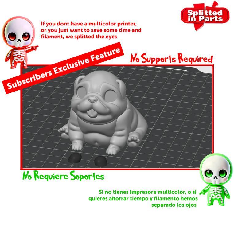 Bulldog Pup(Free Sample)