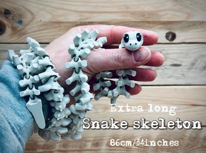 Snake Skeleton, (extra long)