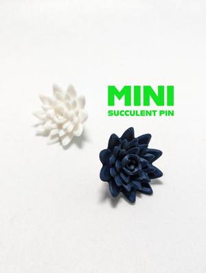 Mini Succulent Pin