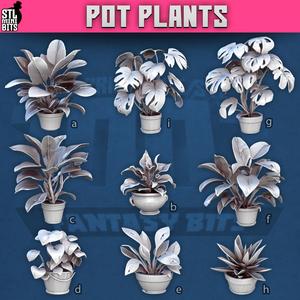 1001 - Pot Plants