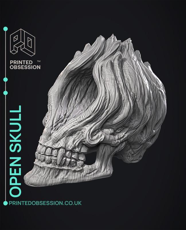 Open Skull - Sculpture