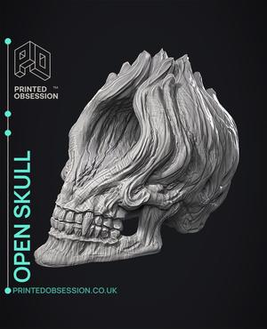 Open Skull - Sculpture