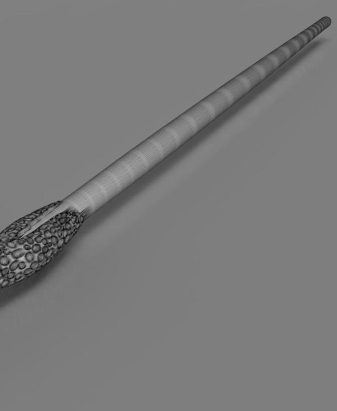 Nigel Wolpert's Wand - Harry Potter