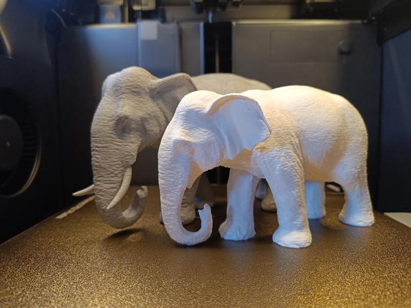Elephant Lady