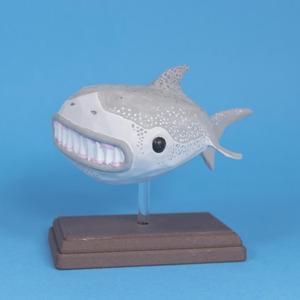 Great Wide Shark // Rejected Animals