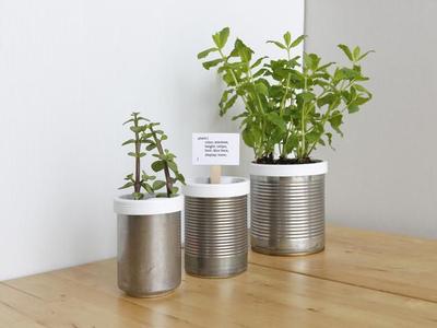 Campbell Planter - Self-Watering Planter