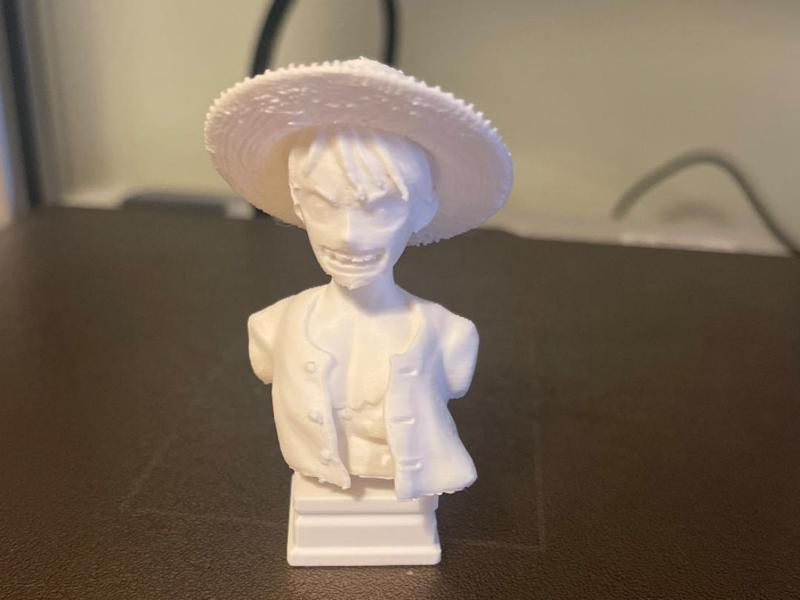 Luffy bust one piece