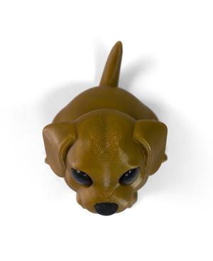 Dachshund Pup