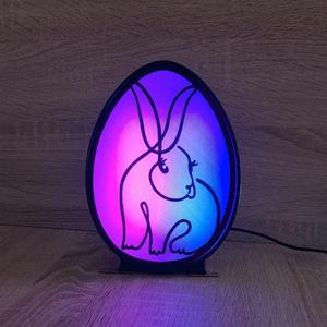 EGG LED LAMP