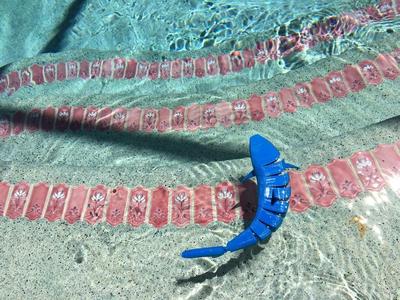 Articulating 3D Shark