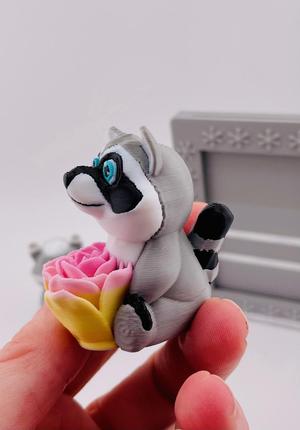 Mother's Day Roseables Raccoon