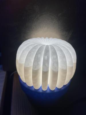 barrel cactus lamp  