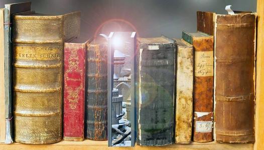 Bookshelf Insert - Magic Book