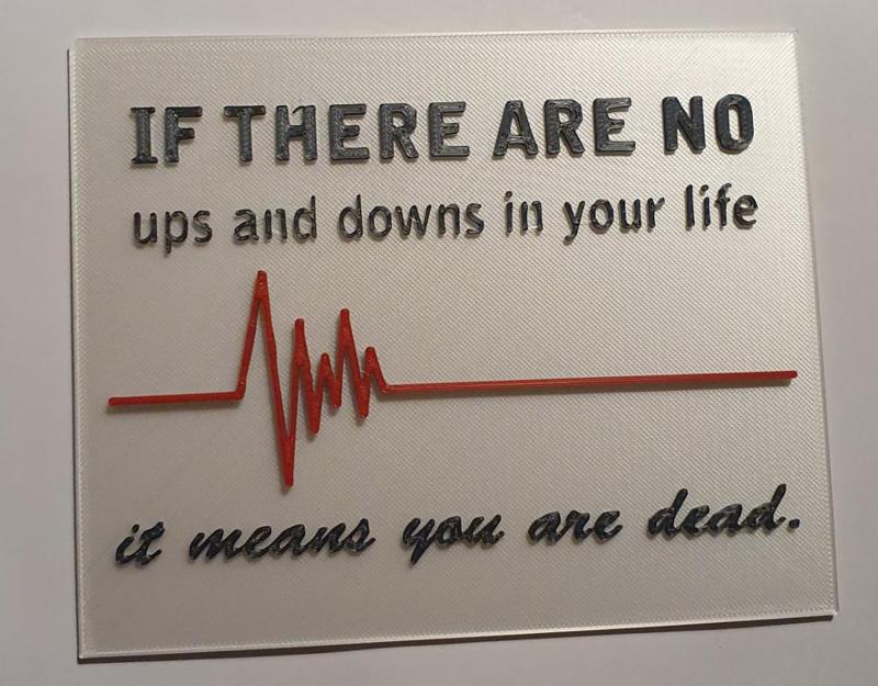 Ups & Downs (Nurse_2)