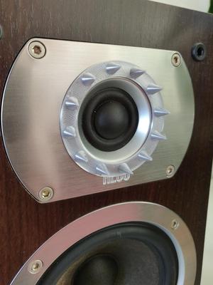 Tweeter Spike Guard