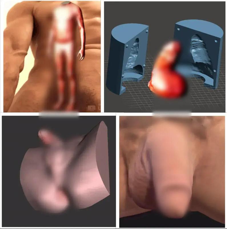 My Real Penis + Mold (Flaccid) + 3d Scanned Naked Body